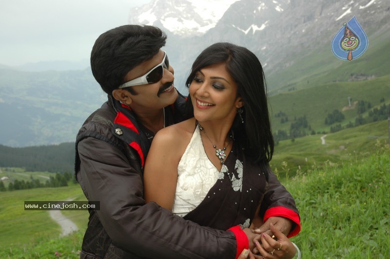 Maa Annayya Bangaram Movie Gallery - 2 / 75 photos