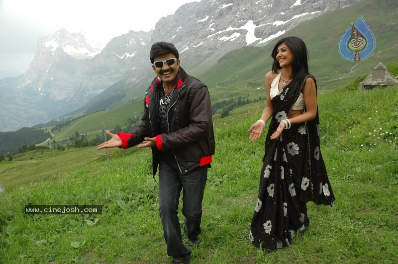 Maa Annayya Bangaram Movie Gallery - 15 / 75 photos