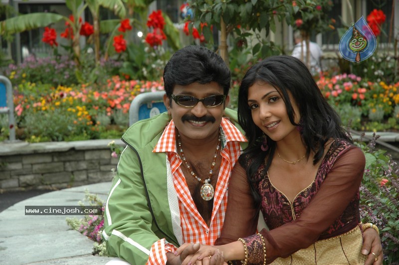 Maa Annayya Bangaram Movie Gallery - 46 / 75 photos