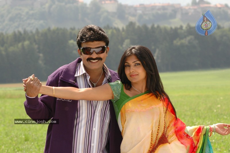Maa Annayya Bangaram Movie Gallery - 50 / 75 photos