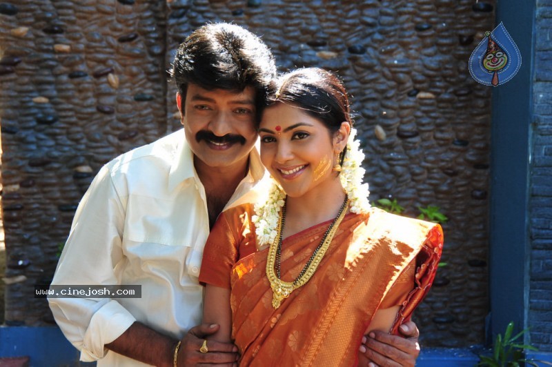 Maa Annayya Bangaram Movie Latest Stills - 34 / 78 photos