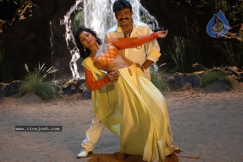 Maa Annayya Bangaram Movie Photos - 10 / 15 photos