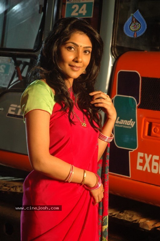 Maa Annayya Bangaram Movie Stills - 27 / 46 photos