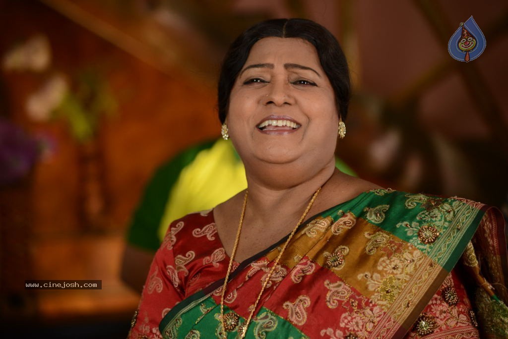 Malligadu Marriage Bureau Stills n Walls - 31 / 152 photos