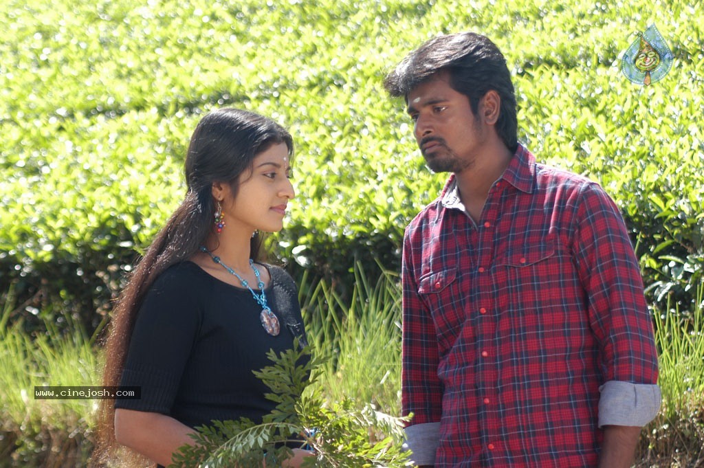 Manam Kothi Paravai Tamil Movie Gallery - 16 / 68 photos