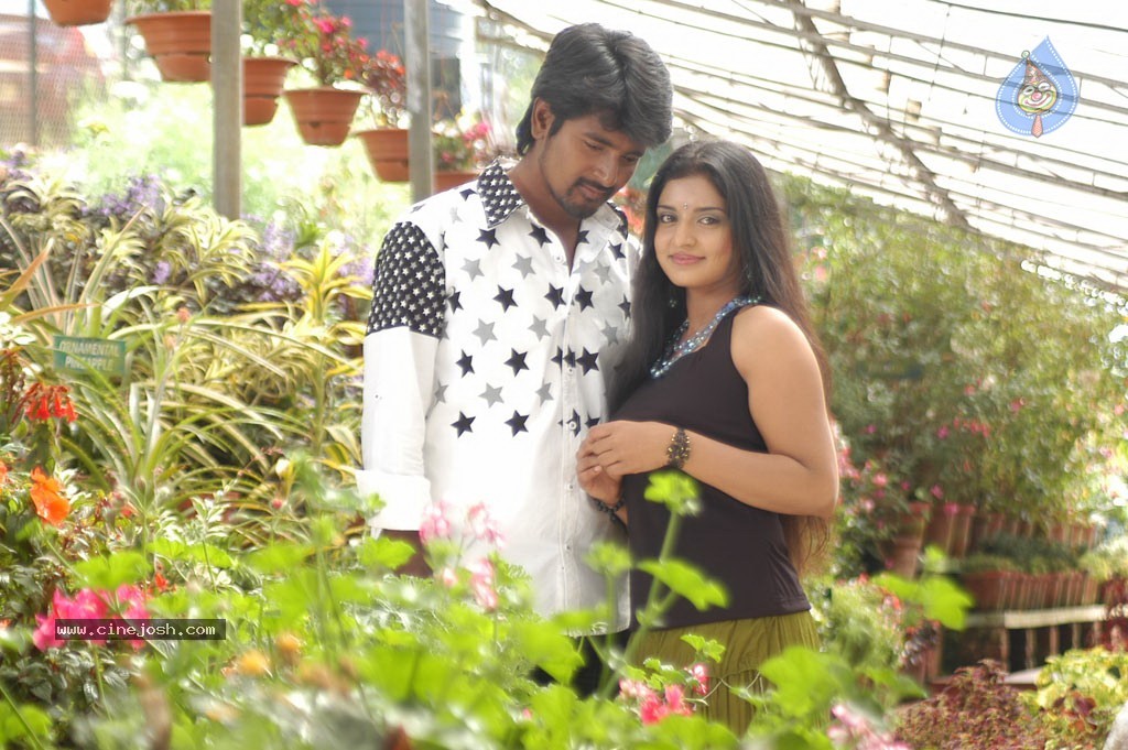 Manam Kothi Paravai Tamil Movie Gallery - 51 / 68 photos