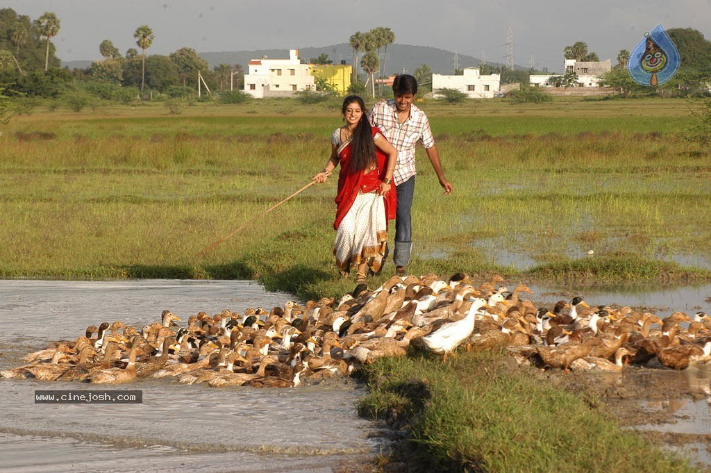 Manam Kothi Paravai Tamil Movie Stills - 6 / 66 photos