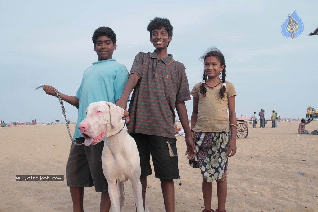 Marina Tamil Movie Stills - 14 / 46 photos