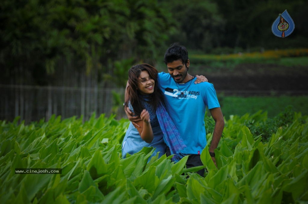 Maykkam Enna Movie Stills - 25 / 25 photos