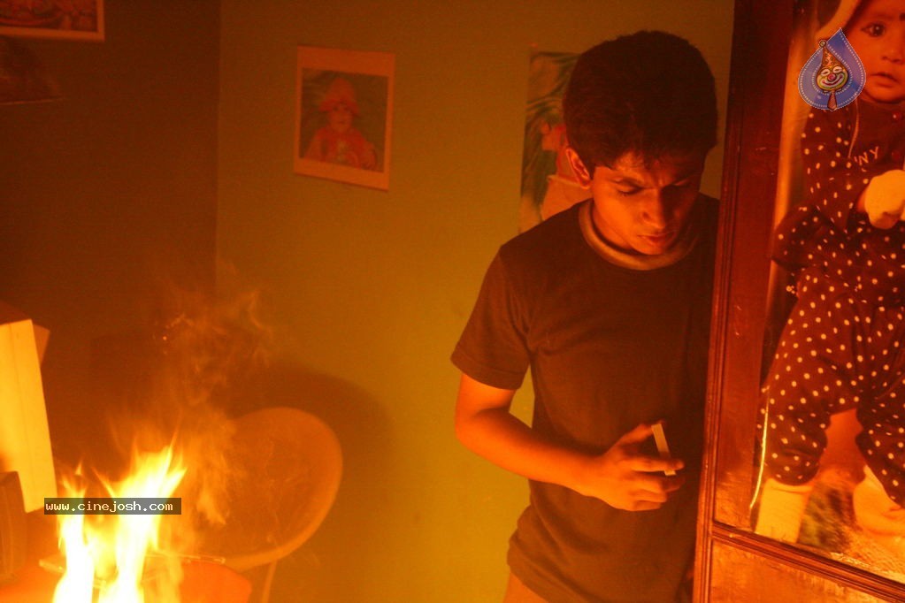 Minugurulu Movie Stills - 10 / 21 photos