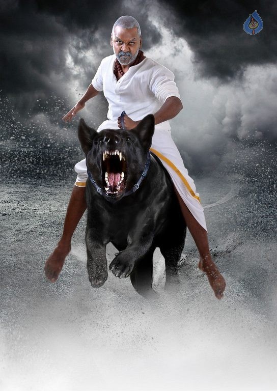 Motta Siva Ketta Siva Tamil Film Photos - 6 / 8 photos