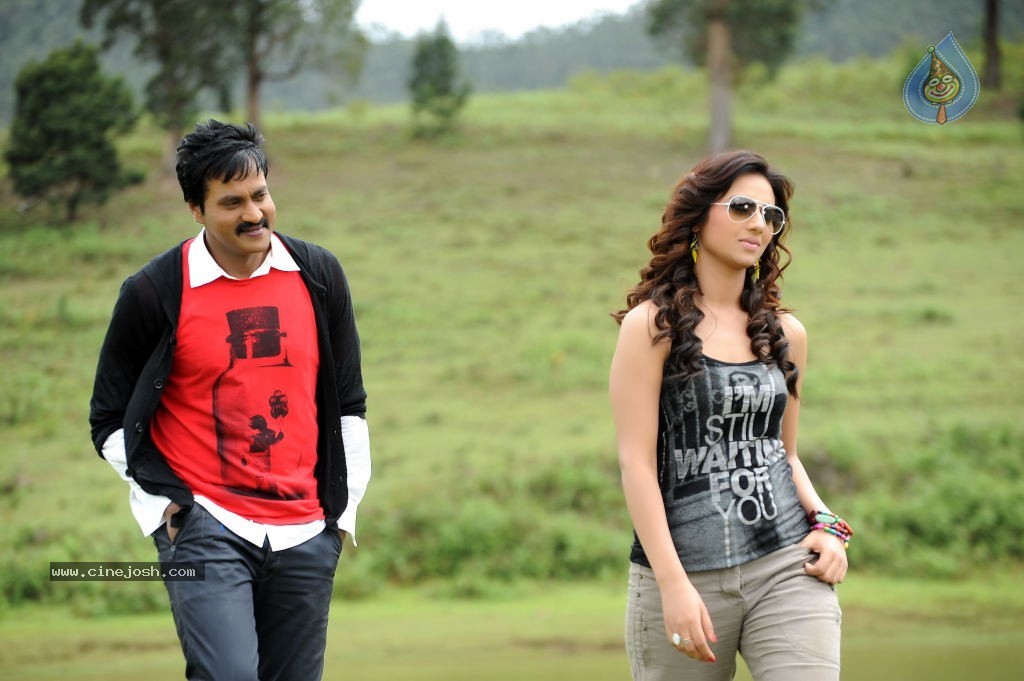 Mr Pellikoduku Movie New Stills - 9 / 18 photos