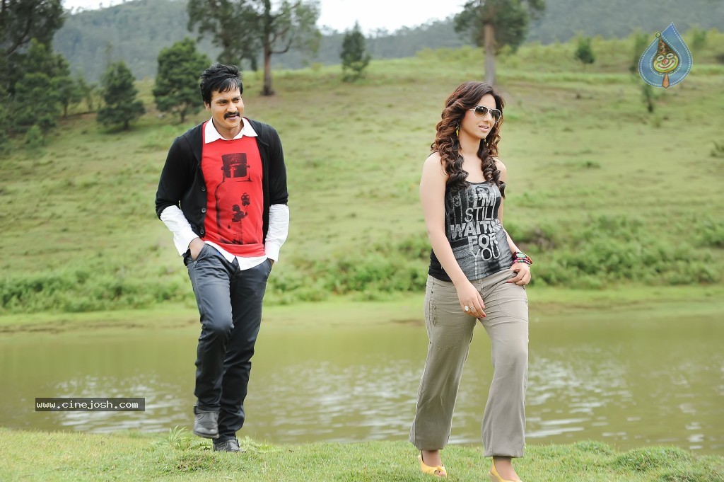 Mr Pellikoduku Movie Stills - 2 / 4 photos