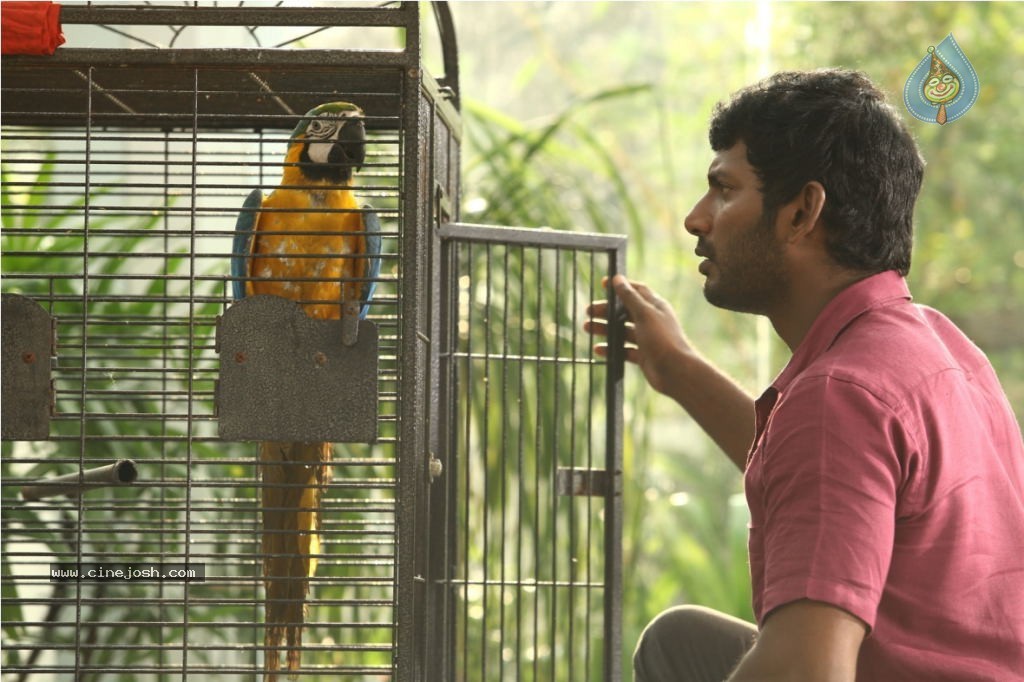 Naan Sigappu Manithan Tamil Movie New Stills - 31 / 33 photos