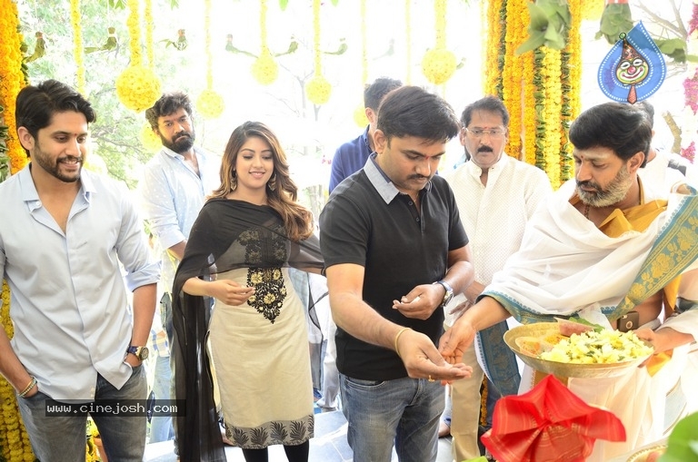 Naga Chaitanya New Movie Opening Photos - 3 / 15 photos