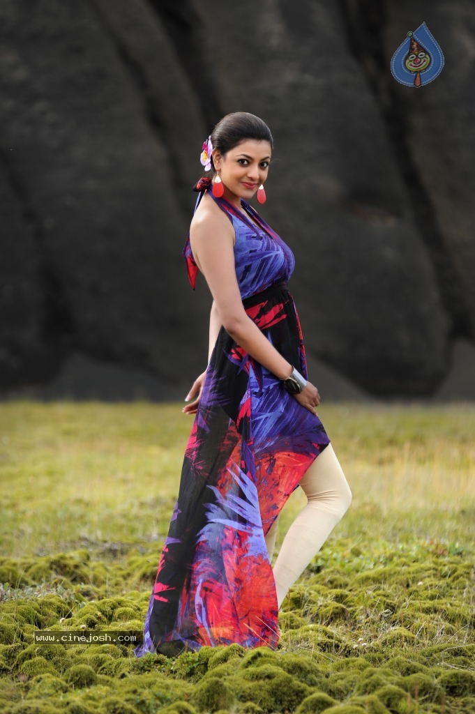 Nayak Movie Heroine Stills - 8 / 11 photos