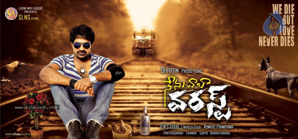 Nenu Chala Worst Movie Posters - 21 / 21 photos