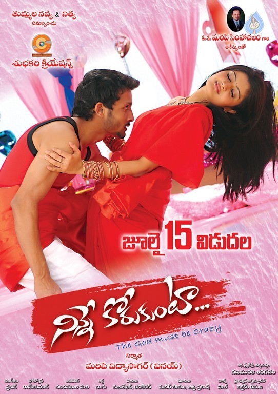 Ninne Korukunta New Posters - 12 / 16 photos