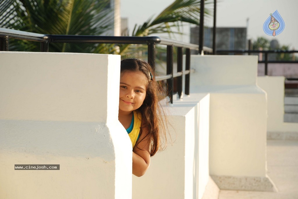 Nirnayam Movie Stills n Walls - 2 / 9 photos