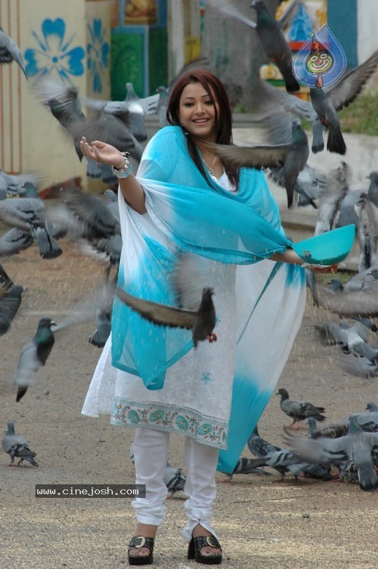  Nuvvekkadunte Nenakkadunta New Movie Stills  - 57 / 60 photos