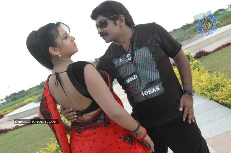 Pandavulu Movie New Stills - 16 / 33 photos