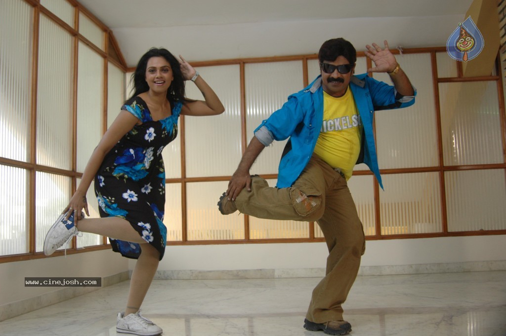 Pandavulu Movie New Stills - 15 / 15 photos