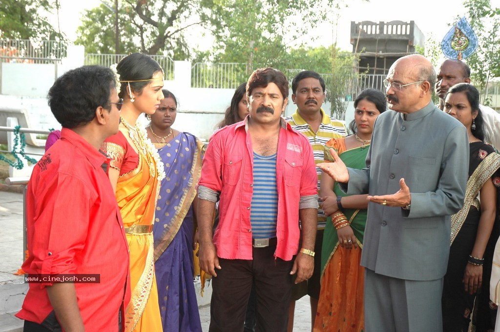 Pandavulu Movie New Stills - 10 / 32 photos