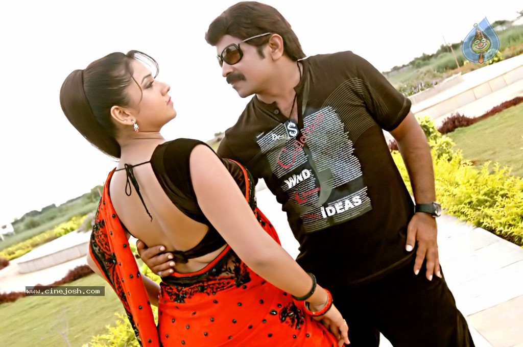 Pandavulu Movie New Stills - 13 / 32 photos