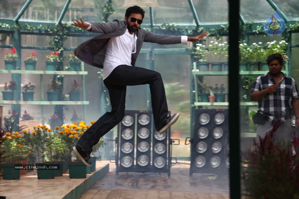 Panjaa Movie Latest Stills - 4 / 16 photos