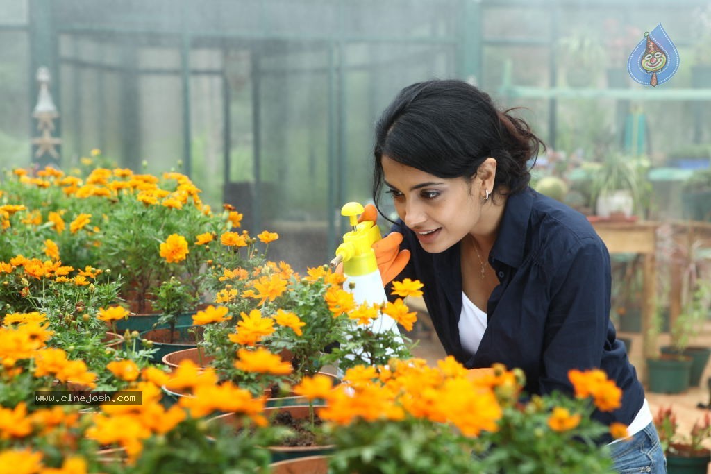 Panjaa Movie Latest Stills - 7 / 16 photos