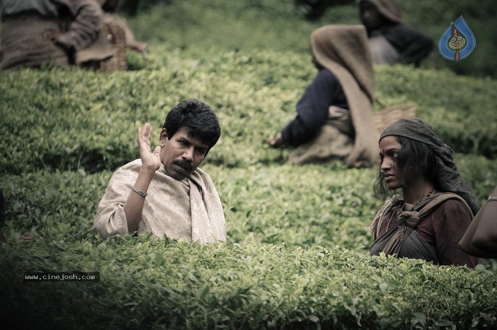 Paradesi Movie New Stills - 11 / 14 photos