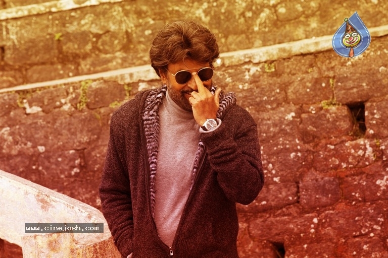 Petta stills top