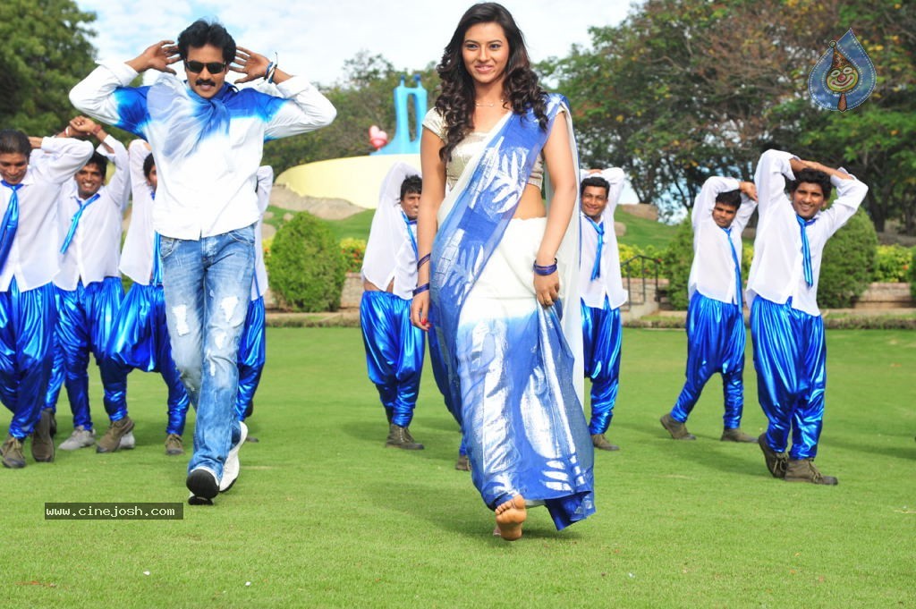 Poola Rangadu Movie Gallery - 1 / 38 photos