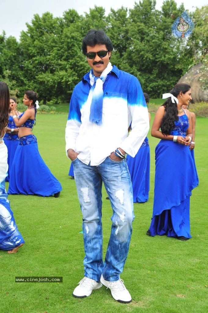Poola Rangadu Movie Gallery - 19 / 38 photos