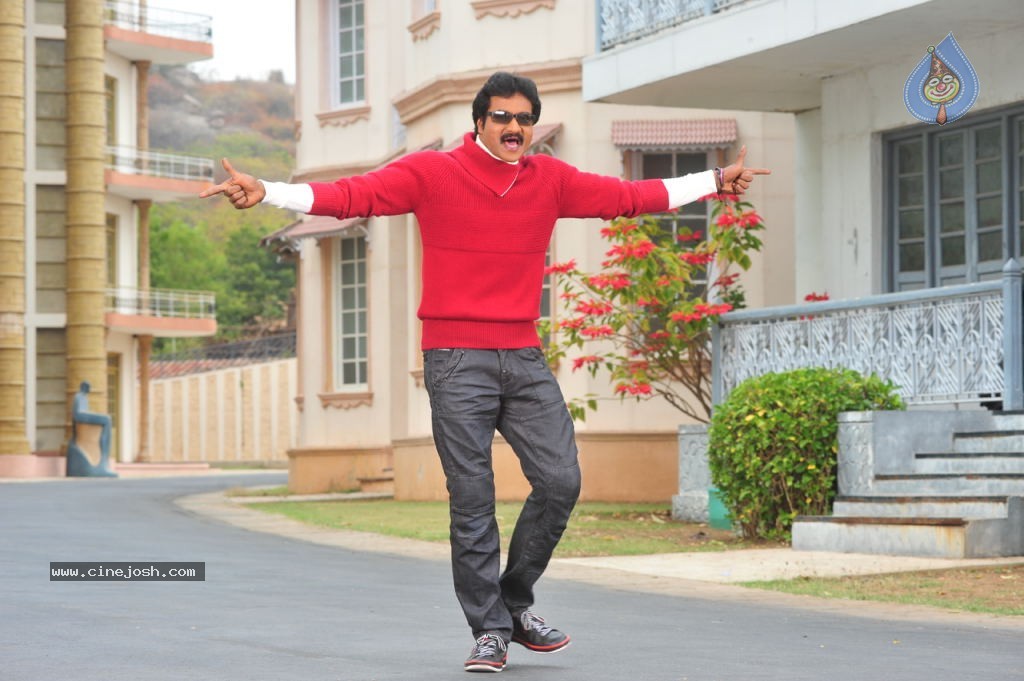 Poola Rangadu Movie Gallery - 24 / 38 photos
