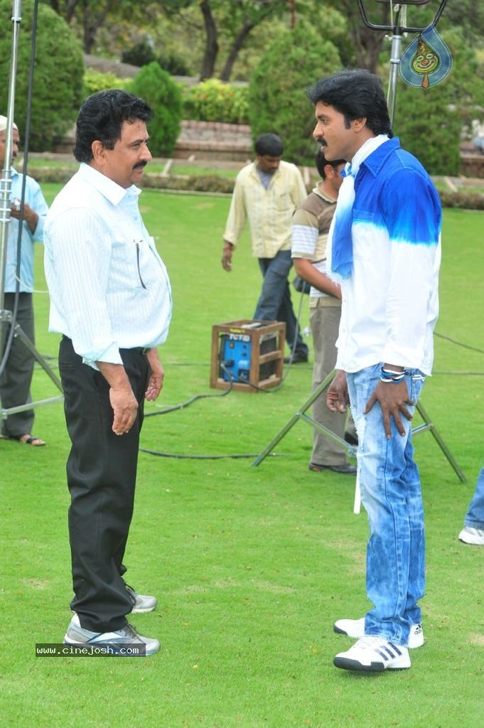 Poola Rangadu Movie Gallery - 36 / 38 photos