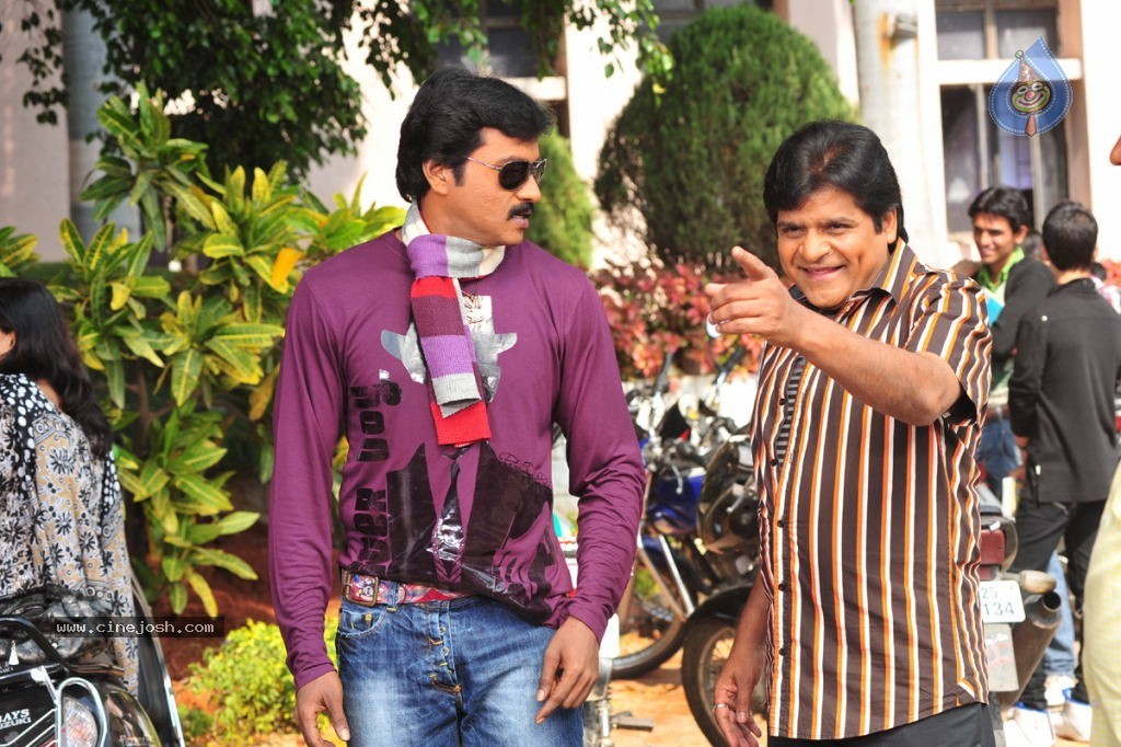 Poola Rangadu Movie Latest Stills - 3 / 13 photos