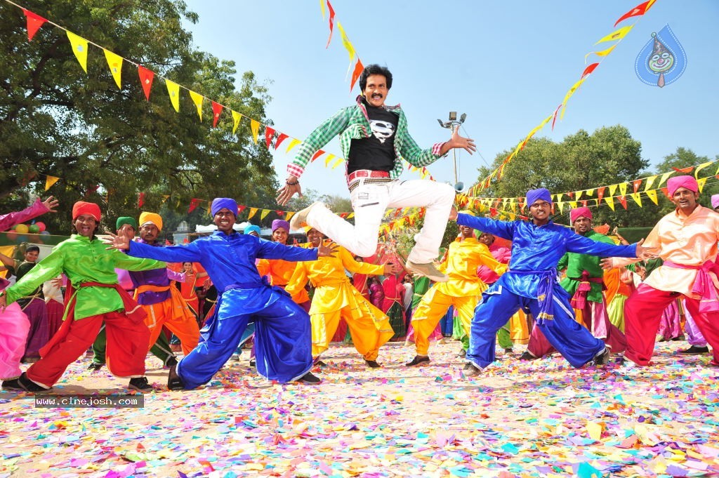 Poola Rangadu Movie Latest Stills - 67 / 79 photos