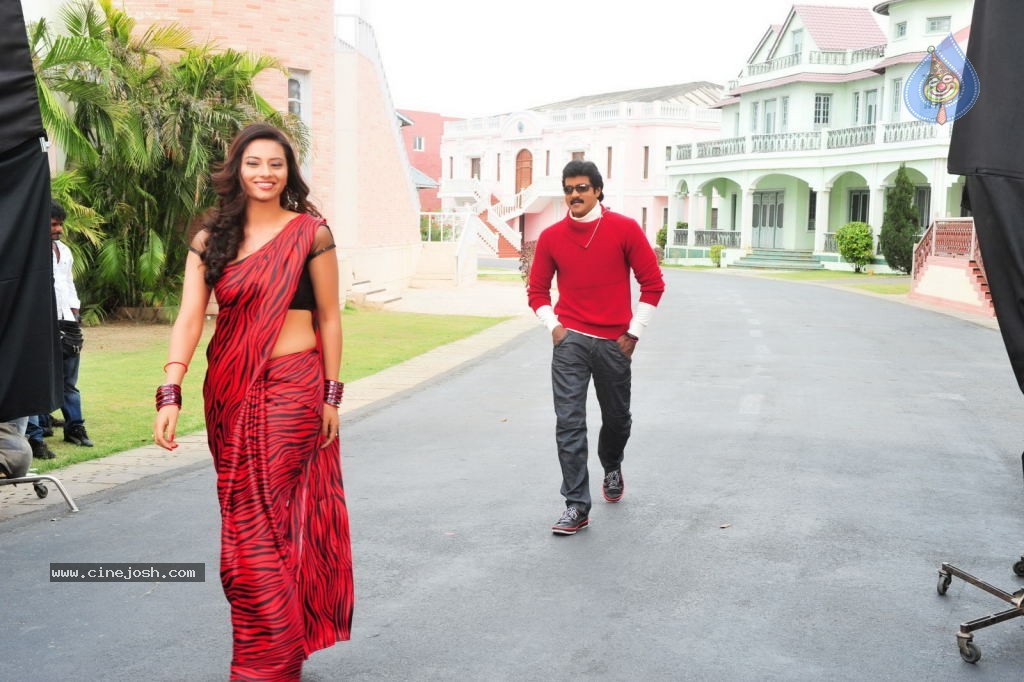 Poola Rangadu Movie New Stills - 15 / 34 photos