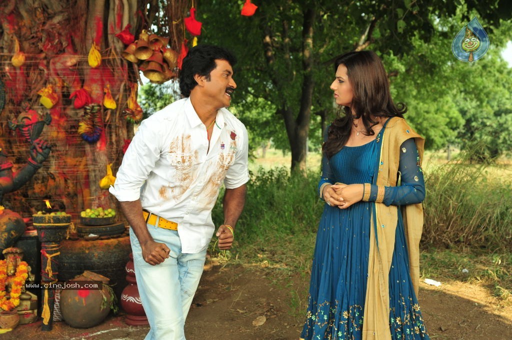 Poola Rangadu Movie Stills - 42 / 76 photos