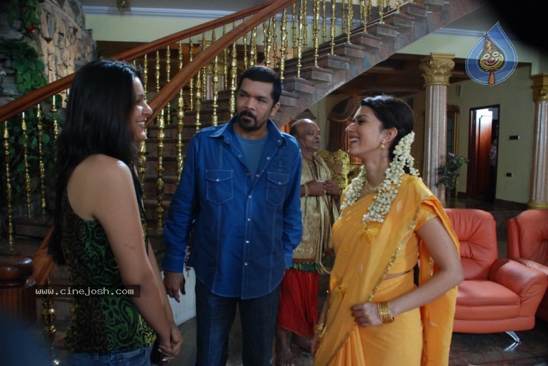 Posani's Nitya Pellikoduku Movie Stills - 1 / 79 photos