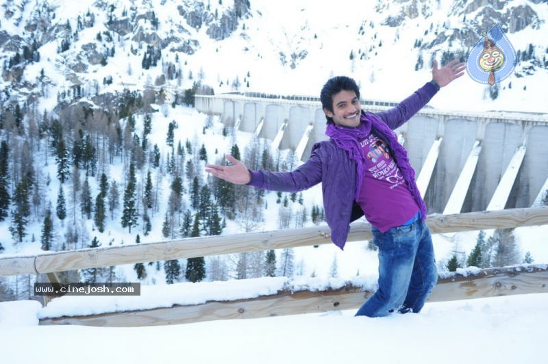 Prema Kavali Movie New Gallery - 39 / 159 photos