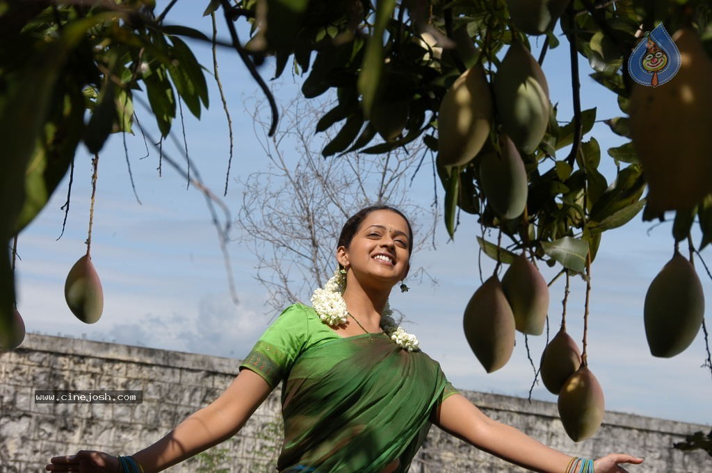 Prema Nilayam Movie Stills - 52 / 80 photos