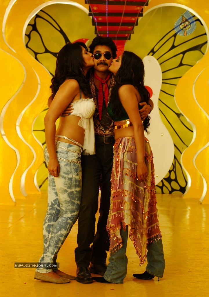 Ragada Movie New Gallery - 18 / 30 photos