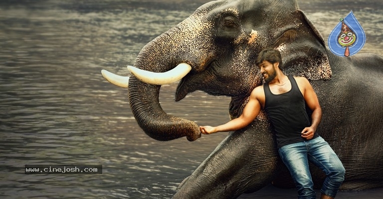 Raja Bheema Movie First Look Posters And Stills - 1 / 4 photos