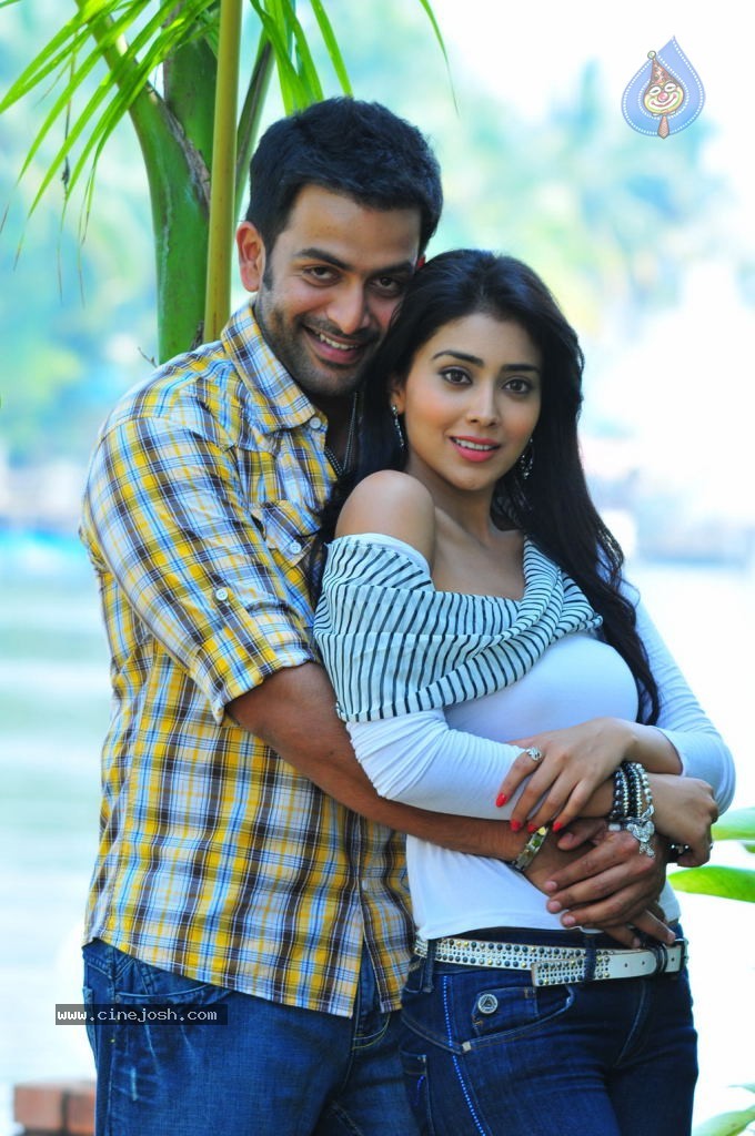 Raja Pokkiri Raja Tamil Movie Stills - 50 / 71 photos