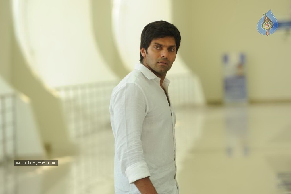 Raja Rani Movie Stills - 15 / 16 photos