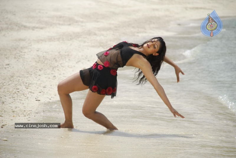 Rajendra Movie Stills - 1 / 46 photos