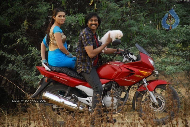 Rajendra Movie Stills - 20 / 46 photos