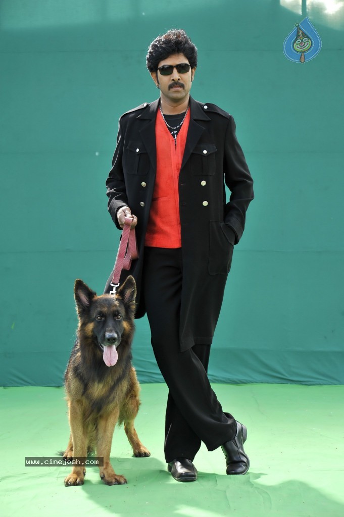 Ramachari Movie New Stills - 29 / 36 photos